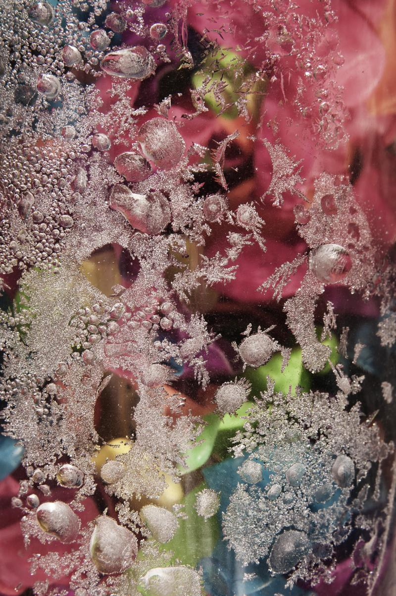 Illustration for article titled Shooting Challenge: Ice, Gallery 2
